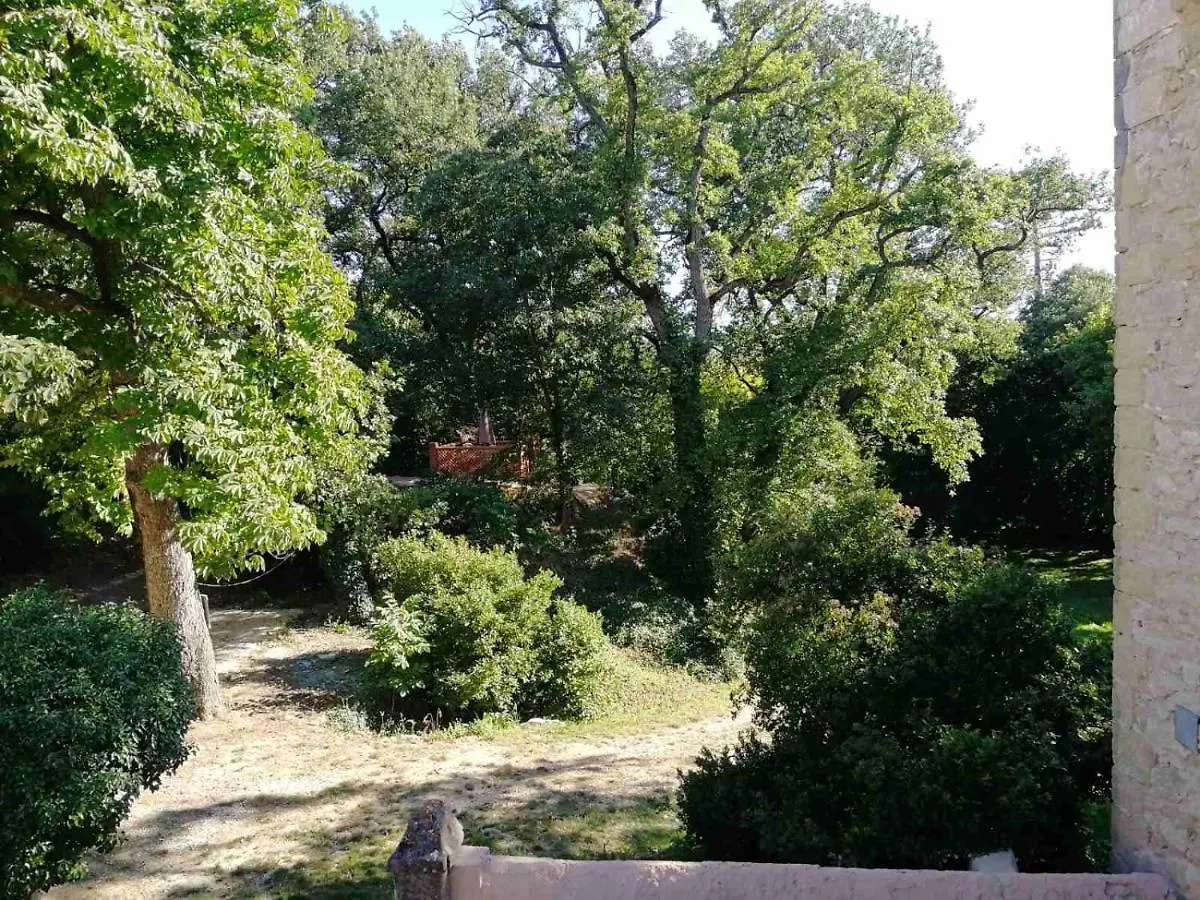 Domaine Picon Hotel Cadenet Guest house