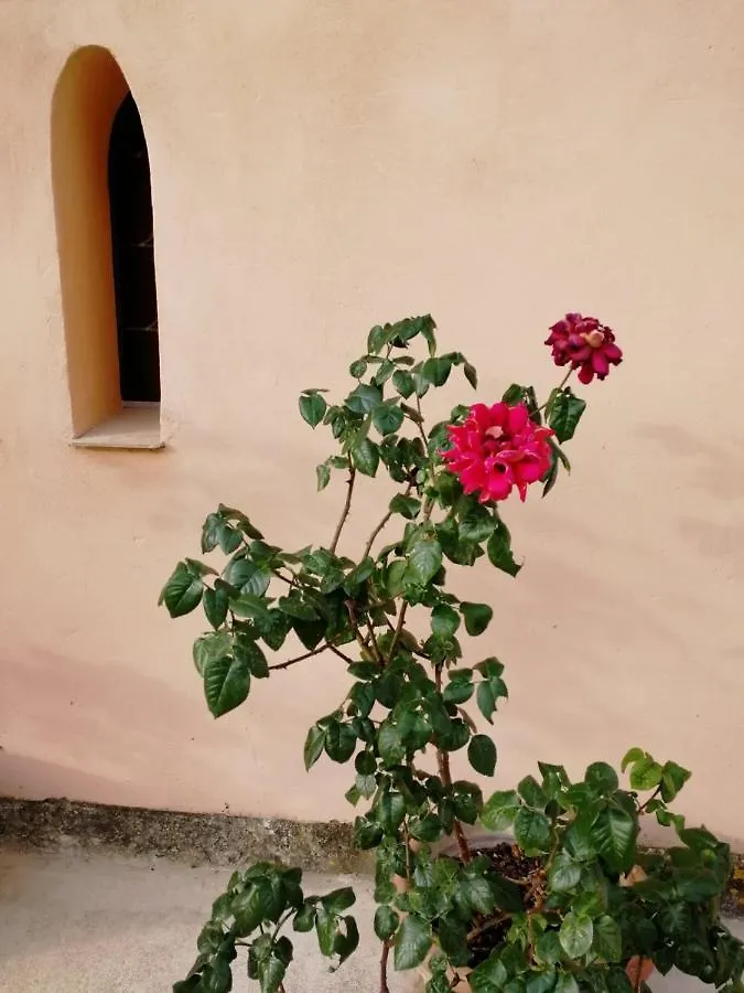Guest house Domaine Picon Hotel Cadenet
